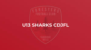 Image result for Jarvis Brook Juniors Football Club