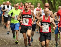 Image result for Billingham Marsh House Harriers