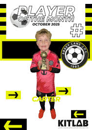 Image result for Abbey Lane Junior Football Club