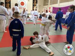 Image result for Warrington Samurai Judo Club