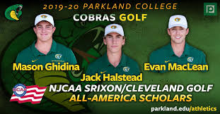 Image result for Halstead Cricket Club