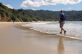 Image result for new chums beach