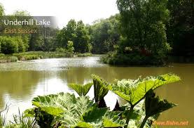 Image result for Crowborough & District Anglers Association