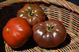 Afbeeldingsresultaat voor cherokee purple tomato