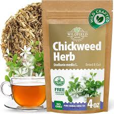 Attēlu rezultāti vaicājumam “Stellaria media”