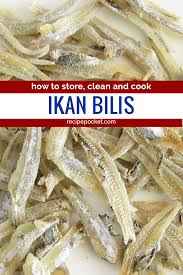 Image result for ikan