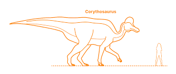 Bildergebnis für corythosaurus