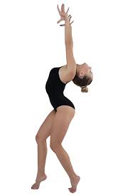 Image result for Southampton Gymnastics Club