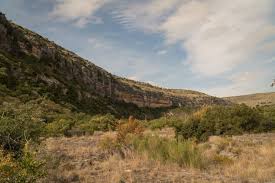 Image result for Dearne Valley Devils