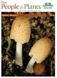 Attēlu rezultāti vaicājumam “Comatricha elegans var. microspora macro”