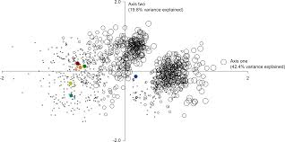 Attēlu rezultāti vaicājumam “Microcalicium disseminatum”
