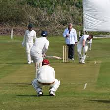 Image result for Hampole & Skelbrooke Cricket Club