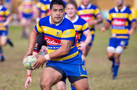 Image result for Hamilton Rugby Football Club