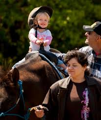 Image result for East Flegg Riding Club