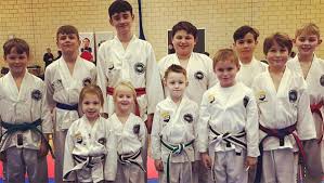 Image result for Taunton Karate academy