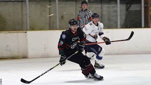 Image result for Basingstoke Bison Ice Hockey Club