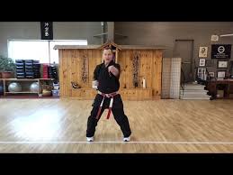 Image result for Zen Shin Seicho Do Adult Karate