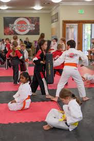 Image result for Windsor Karate Club