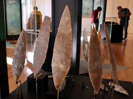 Image result for feuille-laurier-silex