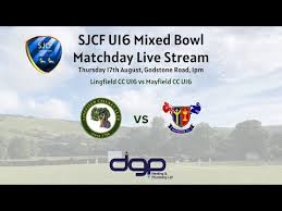 Image result for Lingfield Cricket Club