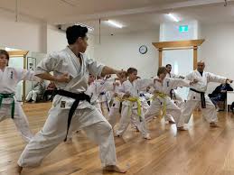 Image result for Jin Sei Kai Shotokan Karate