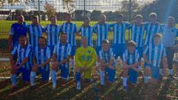 Image result for Beecholme Belles Banstead FC