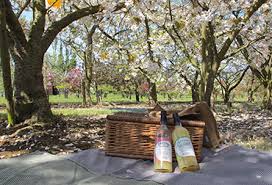 Image result for Abbey Bowmen Faversham