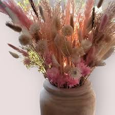 Attēlu rezultāti vaicājumam “Phragmites communis flower”