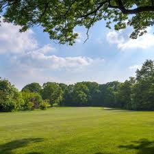 Image result for Henbury Golf Club