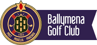 Image result for Ballymena Road Club
