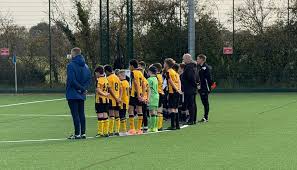 Image result for United in the Community - Boston Player Development Centres