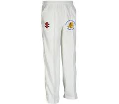 Image result for Yelverton Bohemians Cricket Club