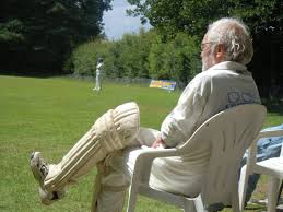 Image result for Nazeing Common Cricket Club