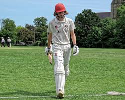 Image result for Stanmore Cricket Club