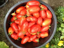 Afbeeldingsresultaat voor oranje van goeienbier tomato