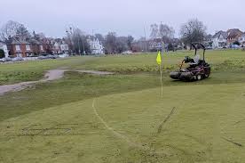 Image result for Thames Ditton & Esher Golf Club