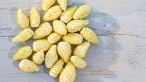 Attēlu rezultāti vaicājumam “Fragaria vesca fruit”