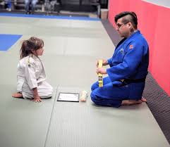 Image result for Guerrero Martial Arts