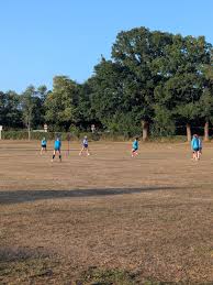 Image result for Alfold Stoolball Club
