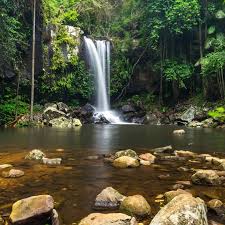 「Mt. Tamborine」的圖片搜尋結果