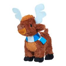 Image result for Tyddewi Octopush Club