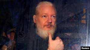 Image result for assange
