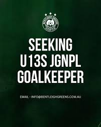 Image result for Rayleigh boys under 7's Leopards- need a Goalie!