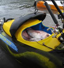 Image result for Viking Kayak Club, Bedford