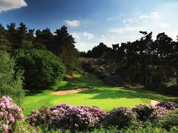 Image result for Buckinghamshire Golf Club