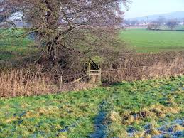 Image result for Kidsgrove Cc