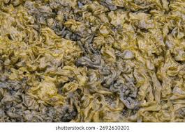 Attēlu rezultāti vaicājumam “Nostoc pruniforme macro”