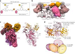 Image result for    ^   u   b N