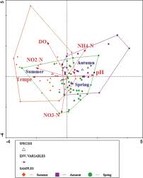 Attēlu rezultāti vaicājumam “Eurhynchiastrum pulchellum macro”