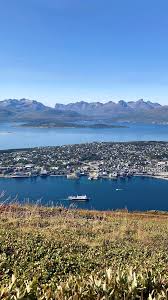 Attēlu rezultāti vaicājumam “Serpoleskea confervoides”